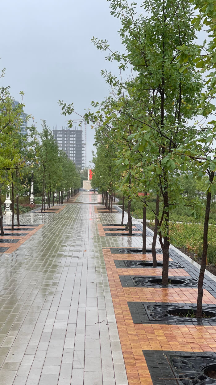 Приствольная решетка для дерева ZKING CRUST 1.2х1.2м Черная в Кукуштане фото