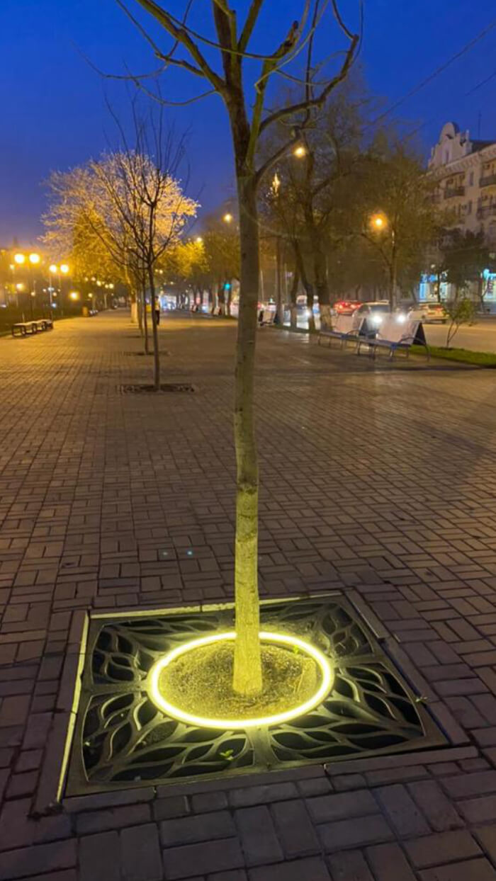 Приствольная решетка для дерева ZKING CRUST 1.2х1.2м Черная в Кукуштане фото